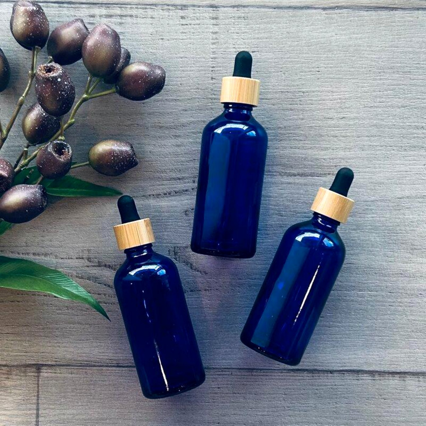 Ash & Eden Essentials tea tree toner dropper bottles with botanicals